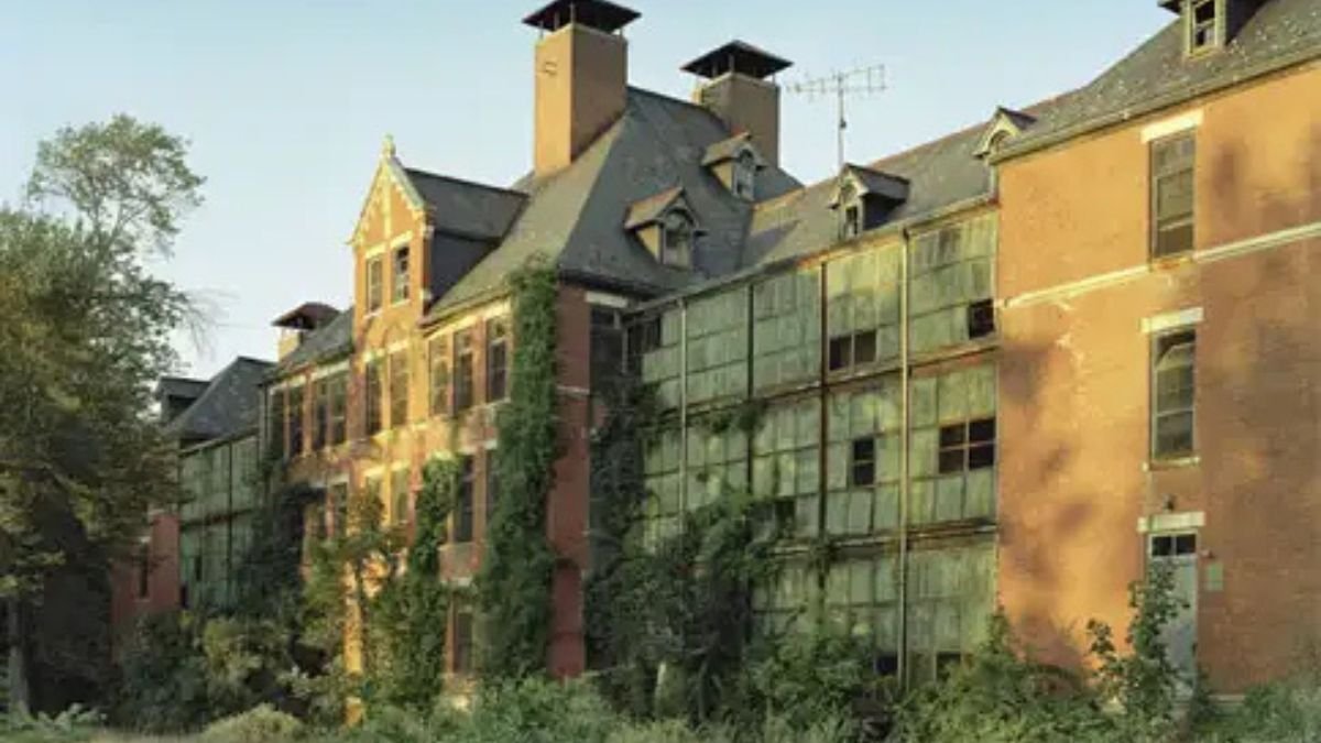 The Rise and Fall of Mental Asylums: A Complete History of Institutional Psychiatry